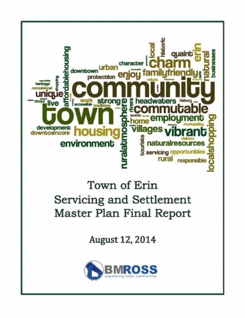 A word tree diagram for the Town of Erin Servicing and Settlement Master Plan Final Report